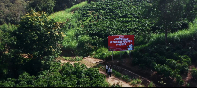 图片98.png